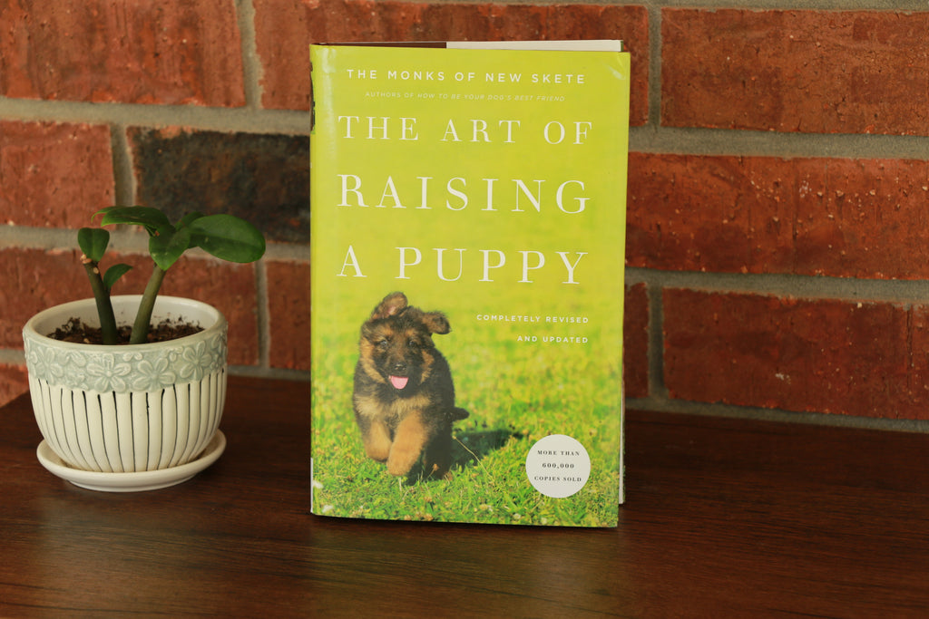 The Art of Raising a Puppy