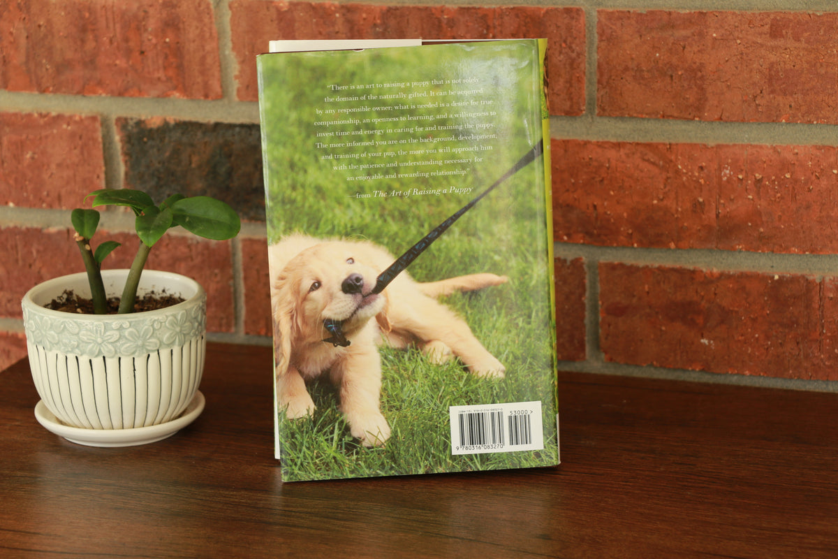 The Art of Raising a Puppy